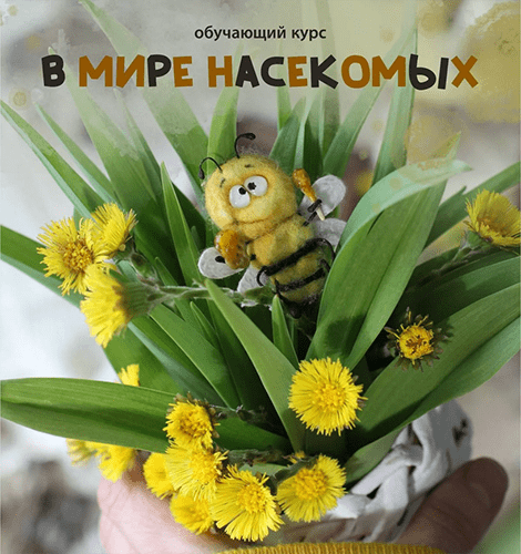 Screenshot 2025-04-26 at 08-28-35 В мире насекомых.png