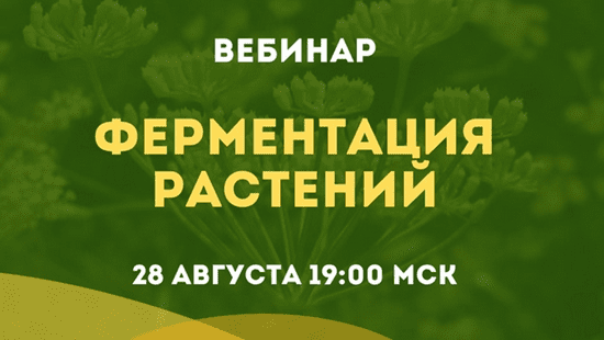 Screenshot 2025-08-27 at 12-12-06 Школа семейного траволечения Ольги Данилюк.png